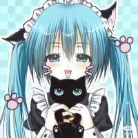 ໊ (@haxko) 's Twitter Profile