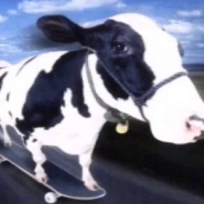 roninisbest's profile picture. Acclaimed Business Owner