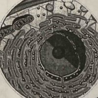 Derick (@kfmgfvqgws) 's Twitter Profile