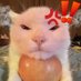 kamala foot job (@harrisfootjob) Twitter profile photo kamala foot job (@harrisfootjob) Twitter profile photo
