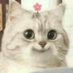 nana (@catwarning_) Twitter profile photo nana (@catwarning_) Twitter profile photo