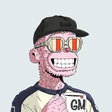 Skiiskii_sol's profile picture. Content Writer - Trader - Web3
Defi - $SOL - Elite Researcher

Green Candle Knight 🟩

Best Tools for trading - https://t.co/vW0MxZtfQz