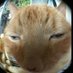 Thien Nguyen (@thiennguye6039) Twitter profile photo Thien Nguyen (@thiennguye6039) Twitter profile photo