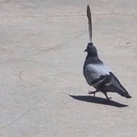 머겜러1인 (@murdake1) 's Twitter Profile