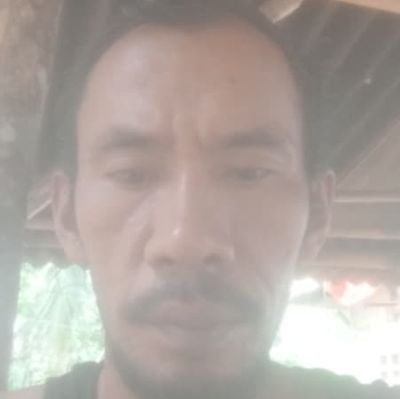 DoyBule's profile picture. 