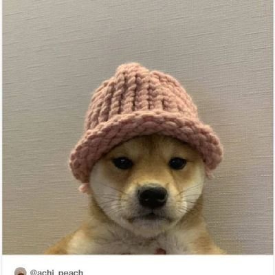 Praveen94211479's profile picture. Dy. Coordinator, DMK IT Wing Puducherry