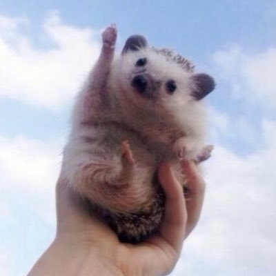 🦒さんのプロフィール画像