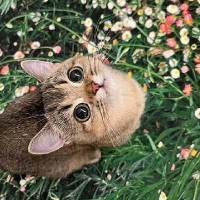 Lpyaa_'s profile picture. FEB UA'24