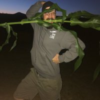 NutandBolt (@b0ltcs2) 's Twitter Profile