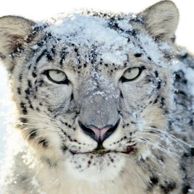 rsazhin's profile picture. 