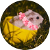 ๐ด๐ ๋ฌญ ๐ช๐ฟ (@myooongnim) Twitter profile photo ๐ด๐ ๋ฌญ ๐ช๐ฟ (@myooongnim) Twitter profile photo