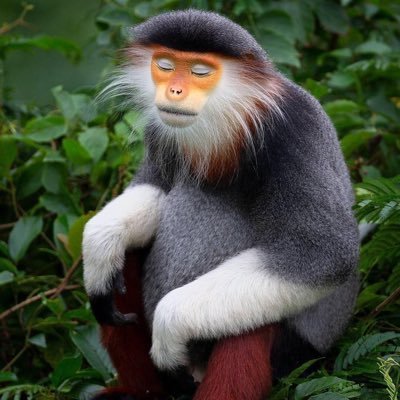 yemriddle's profile picture. “Fuck it we ball” - Nietzsche