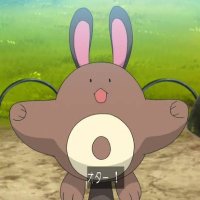 田舎のタヌキ (@eitanukigo) Twitter profile photo