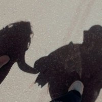 SherOooo🔫 (@elsehamyshrouq) 's Twitter Profile