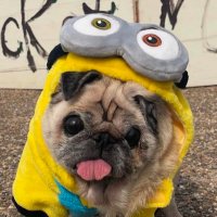 🏂 (@singlecabswey) 's Twitter Profile