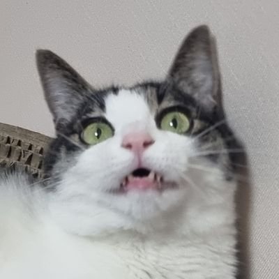 드악이さんのプロフィール画像