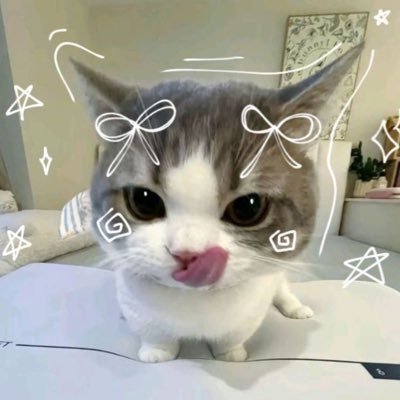 nekomass_o0's profile picture. 報道黄色