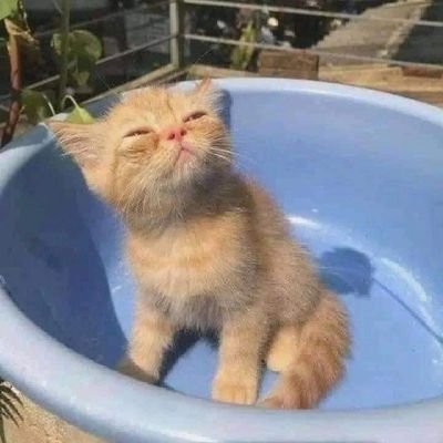 _L_0_v_e____'s profile picture. 바다🌊 좋아하는 사람