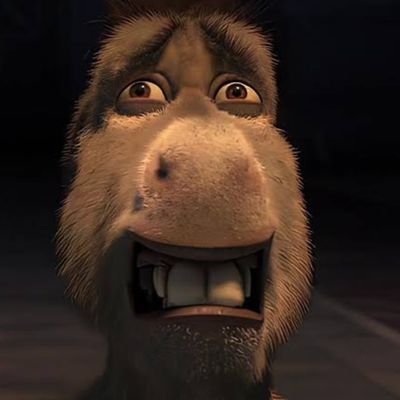 Nox_nyp's profile picture. Software Engineer