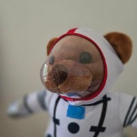 Dr. Kit da Kat 🥰 (@k_da_b) 's Twitter Profile