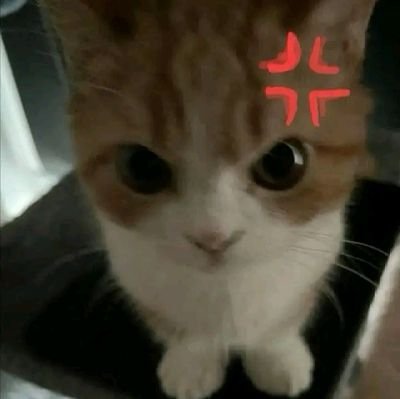 mynmizxeb4's profile picture. — paradise. 🤍