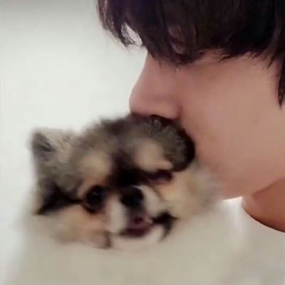 haobbit's profile picture. ᶻ 𝗓 𐰁 .ᐟ