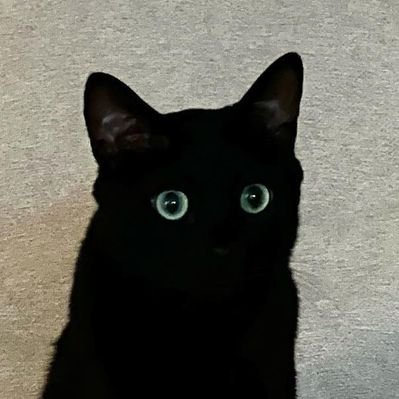 wrongtimenosee's profile picture. 