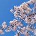 春の『高尾山ビアマウント60th』【公式】 (@takao_beer_mt) Twitter profile photo 春の『高尾山ビアマウント60th』【公式】 (@takao_beer_mt) Twitter profile photo