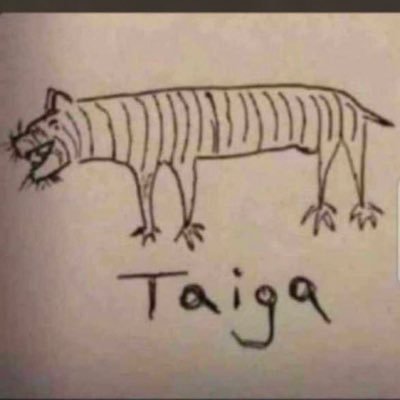 .....