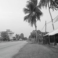 crowzero (@crowzer43298891) 's Twitter Profile