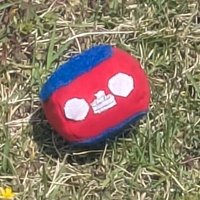 らいすなボール (@risenaball) 's Twitter Profile