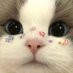 ًM 💗 (@libeuci) Twitter profile photo ًM 💗 (@libeuci) Twitter profile photo