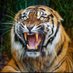 Giri Babu (@giribabutgb) Twitter profile photo Giri Babu (@giribabutgb) Twitter profile photo