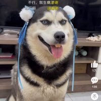 grank (@aiaiai123987) 's Twitter Profile