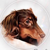 Rona (@specan1103) 's Twitter Profile