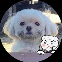 ๐๐๐๐ (@_scorpio__11) 's Twitter Profile