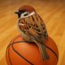 すずめ┃🏀コーチのコーチ(ディベロッパー) (@treeblog_s) Twitter profile photo すずめ┃🏀コーチのコーチ(ディベロッパー) (@treeblog_s) Twitter profile photo