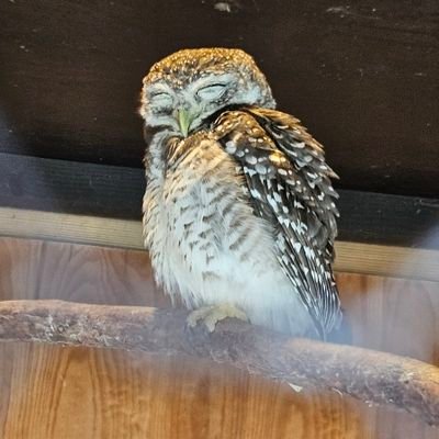 Mich1T's profile picture. 身に余る資産ができたので、渋沢栄一のように一夫多妻で子ども10人以上という関係を目指して、お相手を募集しています。数十人を養う余裕がありますのでお気軽にどうぞ