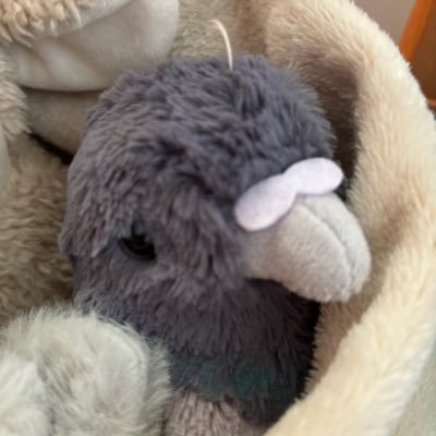 ぽぽぽさんのプロフィール画像