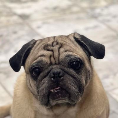 Panisarata's profile picture.