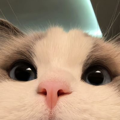 @catpaglu