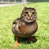 n (@keg) 's Twitter Profile