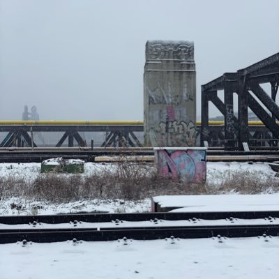 pausur1's profile picture. 