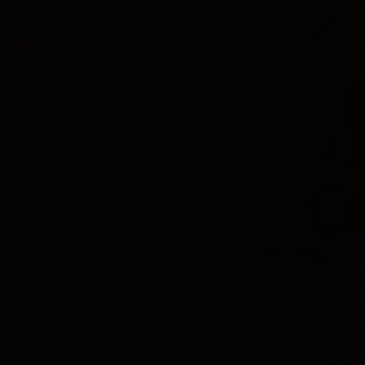 parmezsan's profile picture. ORNG/S4C/CH - S+L.