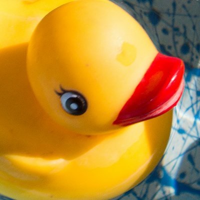 ceejay_kaa's profile picture. 