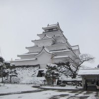 なべし (@nut777) 's Twitter Profile