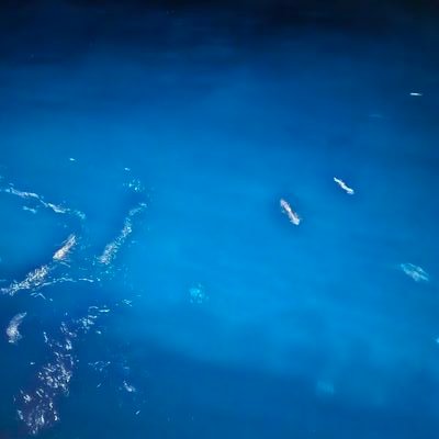 colibrie_00's profile picture. 