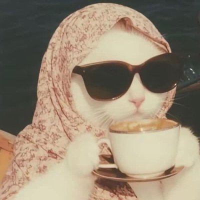 Pro of oversharing & TMI | Complaining about work by day, life by night | Serial tweet liker | Debating anything as a hobby | Fiha khir-ing my way through life