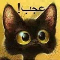 ♛🐈⬛مَلوس (@malusakam) 's Twitter Profile Photo ♛🐈⬛مَلوس (@malusakam) 's Twitter Profile Photo