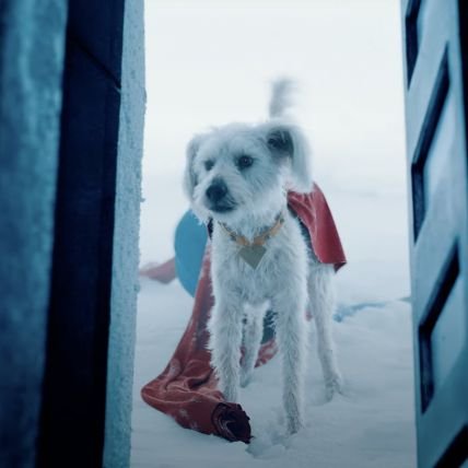 tomy4frank's profile picture. 